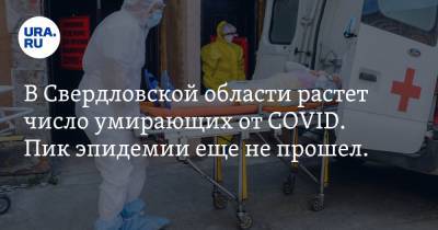 В Свердловской области растет число умирающих от COVID. Пик эпидемии еще не прошел. СТАТИСТИКА