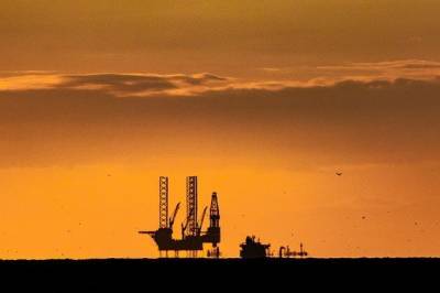 Цены на нефть Brent выросли почти до $44