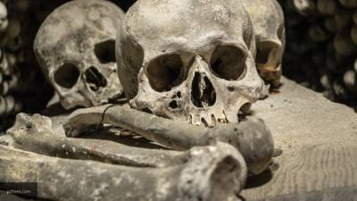 Житель Саратовской области обнаружил человеческие кости на своем участке