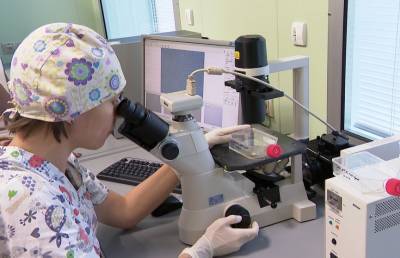 Белорусские ученые нашли более эффективный способ введения стволовых клеток для лечения опасных болезней