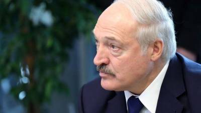 Киркоров, Басков и другие звезды спели в поддержку Лукашенко