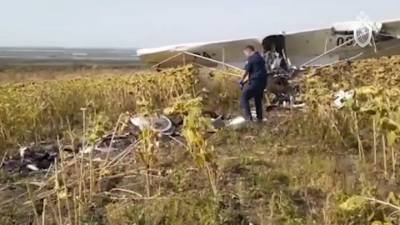 Опубликовано видео с места падения самолета в Ульяновской области