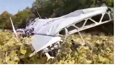 Следственный комитет опубликовал видео с места крушения самолета в Ульяновской области
