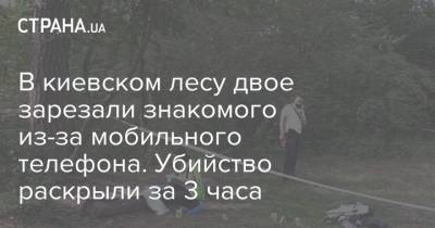 В киевском лесу двое зарезали знакомого из-за мобильного телефона. Убийство раскрыли за 3 часа