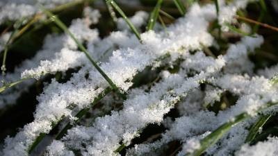 Синоптики предупредили о первом снеге в ХМАО