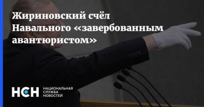 Жириновский счёл Навального «завербованным авантюристом»