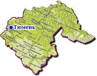 Оперштаб: речи о введении самоизоляции в Тюменской области не идёт