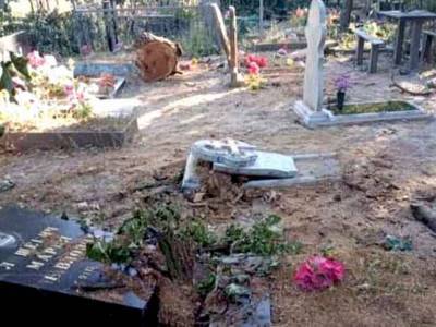 На кладбище под Харьковом упавший дуб разрушил памятники