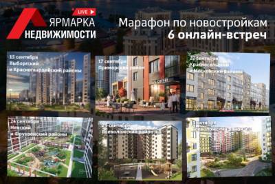 Застройку Приморского района обсудили на вебинаре