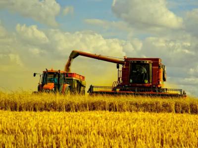 В Украине из-за засухи ожидается сокращение урожая зерновых на 5 миллионов тонн – ООН