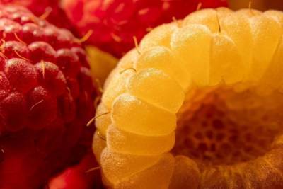 Эта ягода быстро выводит токсины из организма