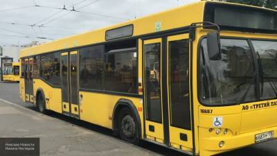 Новые экологичные автобусы поступят в Петербург в ближайшее время