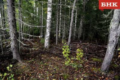 Спасатели оценили опасность радиоактивного контейнера в ухтинском лесу