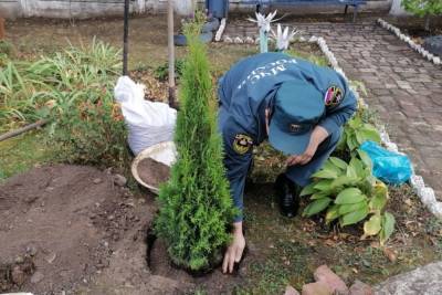 Тульские спасатели высадили памятное дерево к юбилею ведомства