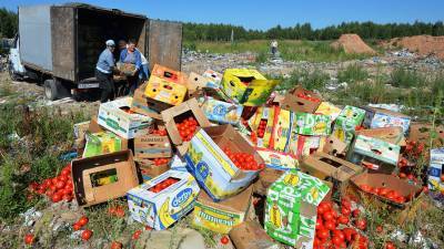 Больше половины россиян против уничтожения санкционных продуктов