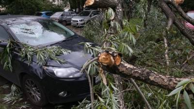 Деревья как снаряды: мощный ураган ударил по Москве и Подмосковью