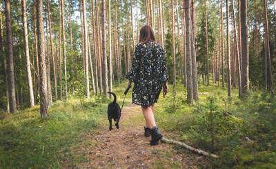 Gazeta Wyborcza (Польша): прогулка по лесу — лучшее лекарство