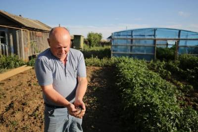 Как вырастить урожай в теплице осенью, рассказал агроном из Волгограда