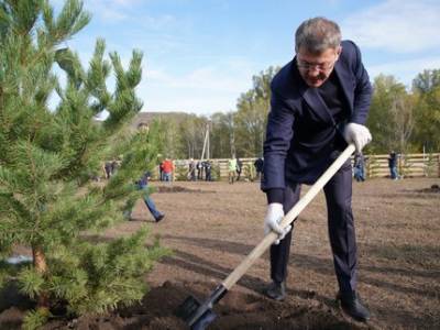 Радий Хабиров и члены правительства Башкирии посадили 112 деревьев