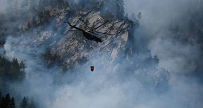 Спасателям через три дня удалось потушить лесной пожар на востоке Грузии - видео