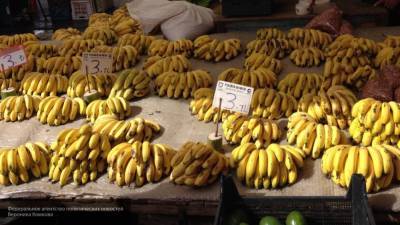 Диетолог объяснила пользу бананов для нервной системы