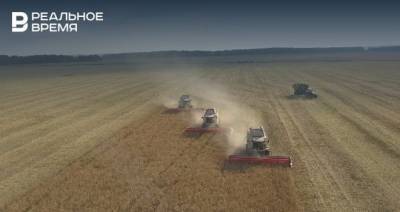 В Татарстане намолочено 5,315 млн тонн зерна