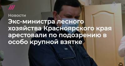 Экс-министра лесного хозяйства Красноярского края арестовали по подозрению в особо крупной взятке