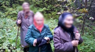 В Чувашии бабушки потерялись в лесу, но не бросили корзинки с опятами