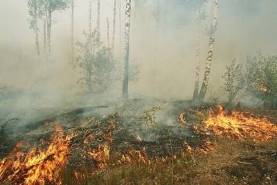 Оренбургской области угрожают степные пожары