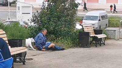 Собака искусала группу пьяных мужчин в Магнитогорске