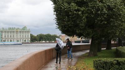 В центре Петербурга закрыли сады и скверы из-за штормового ветра