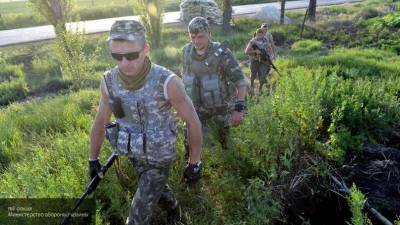 В ЛНР обвинили украинских силовиков в минировании лесов Донбасса