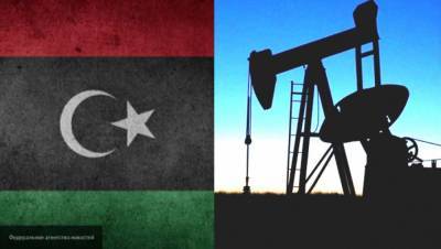Депутат Дума поддержал справедливое распределение нефтяных доходов Ливии