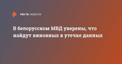 В белорусском МВД уверены, что найдут виновных в утечке данных