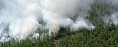 213 гектаров леса горит в Магаданской области