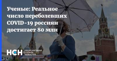 Ученые: Реальное число переболевших COVID-19 россиян достигает 80 млн