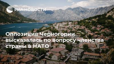 Оппозиция Черногории высказалась по вопросу членства страны в НАТО