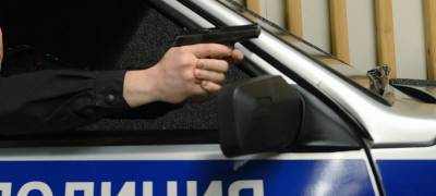 Полицейские в Карелии обстреляли машину, которой управлял подросток