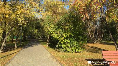 Осенняя листва может провоцировать опасные заболевания