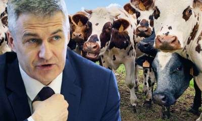 Парфенчиков пытается заставить ОМК разводить коров вместо продления договора аренды