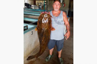 Рыбак вытащил из реки рекордно большого сома весом 31,7 килограмма