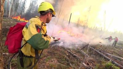 Площадь лесных пожаров в Прибайкалье сократилась за сутки вдвое