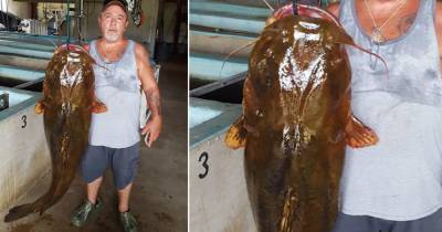 Американский рыбак выловил сома весом более 30 кг