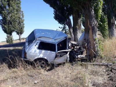 Водитель «Нивы» врезался в дерево и погиб в Воронежской области