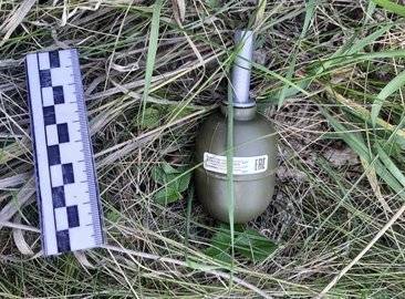 В Башкирии отдыхающие в траве нашли гранату