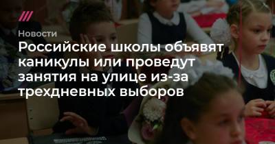 Российские школы объявят каникулы или проведут занятия на улице из-за трехдневных выборов