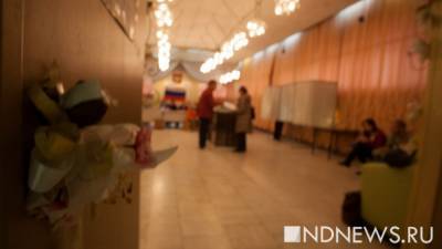 На севере области началось досрочное голосование по довыборам в заксо