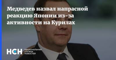 Медведев назвал напрасной реакцию Японии из-за активности на Курилах