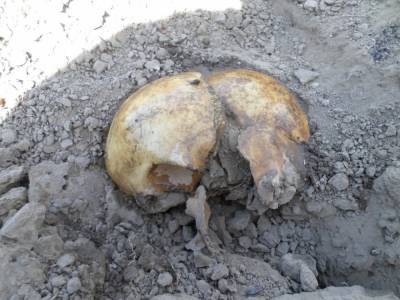 Неизвестные разрыли старинное кладбище в центре Рязани