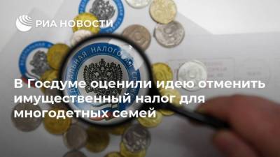 В Госдуме оценили идею отменить имущественный налог для многодетных семей